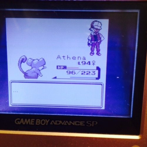 ommanyte:  itsdefinitelyjake:  ommanyte:  I HAVE COMPLETED THE JOEY CHALLENGE, I HAVE BEATEN TEAM ROCKET, COLLECTED 16 BADGES, BEATEN THE LEAGUE TWICE, AND HAVE DEFEATED RED, I HAVE COMPLETED THE ENTIRE GAME USING ONLY A TOP PERCENTAGE RATTATA, I HAVE