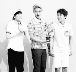 ztaohs:  don’t even know who the real maknae