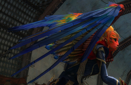 Siana is finally level 80 and I rewarded myself with the outfit I’ve had planned for her c:&nb