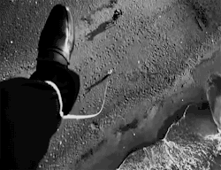  8½ (1963) - Federico Fellini  love Fellini