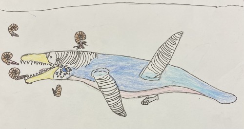 Kronosaurus, Zhenyuanopterus, And Spinosaurus