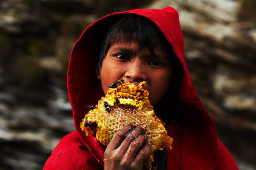 equivoque:lustik:Gurung Honey Hunters - Andrew Newey via The Guardian.I thought the first 2 snaps we