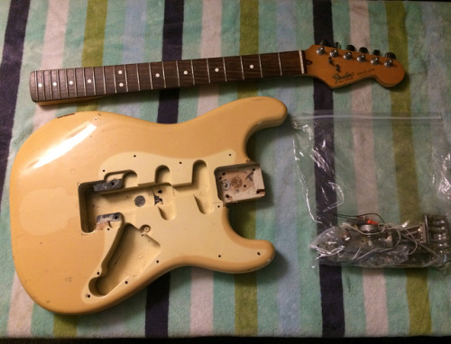 fenderoffcuts: reclaimedknowledge: I’m rebuilding this made in USA Fender Stratocaster from 19