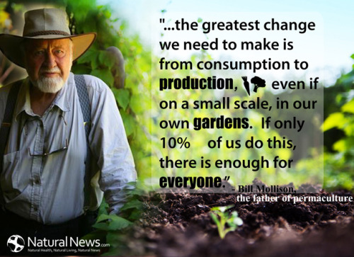 Our dear Bill Mollison passed away yesterday. May his words and teachings of permaculture continue t