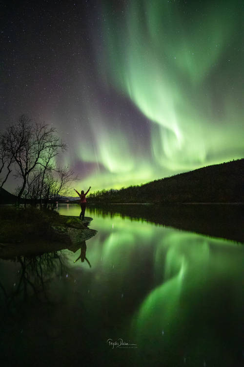 Out for a Dance by Frøydis Dalheim Camera: Canon EOS 5D Mark IV