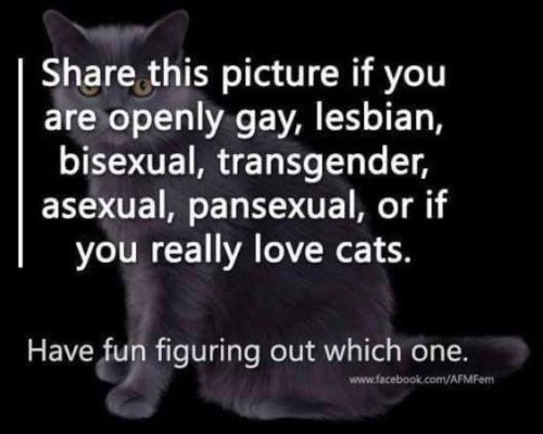 Proud To Be Homo