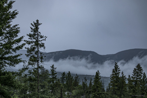 Misty morning in the Highlands: Shoshone National Forest, Wyoming© rivrewindphotography