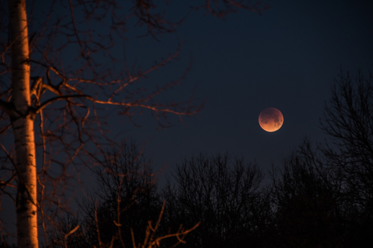 Явление две луны. Кровавая Луна затмение. Лунное затмение красная Луна. Лунное затмение Кровавая Луна. Кровавая Луна явление 2020.