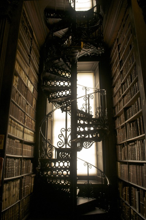 ladyanalinguist:  Library porn