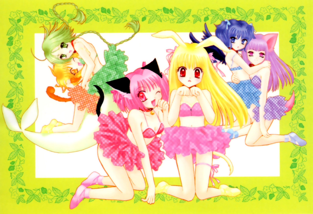 Tokyo Mew Mew A La Mode, Vol. 2