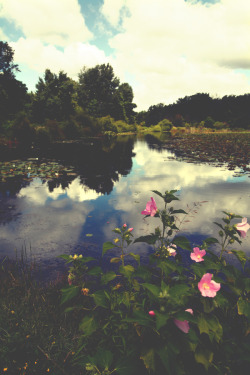 brutalgeneration:  Ohio (by Valerie Manne)