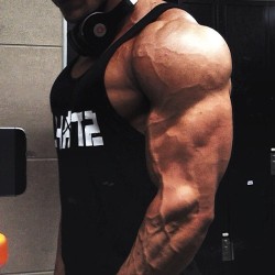 wantmuscle28:  Anton Antipov 