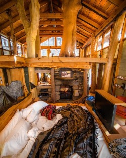 wild-cabins:Huck