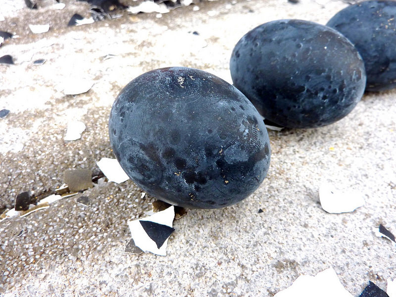sixpenceee:  The Black Eggs of OwakudaniOwakudani or “the Great Boiling Valley”