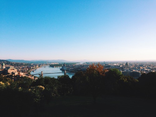 Taken by Tomas Laurinavicius / Download High-Resolution