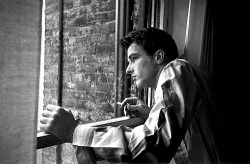 climbing-down-bokor:  Montgomery Clift photographed