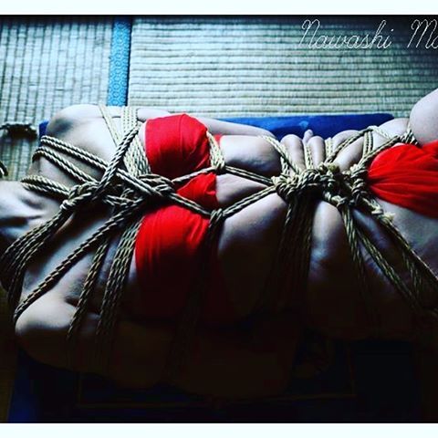 studiosunday:Rollade #shibari #kinbaku #shibariart #kinbakuart #knoopjes #art #love #ropebondage(bij