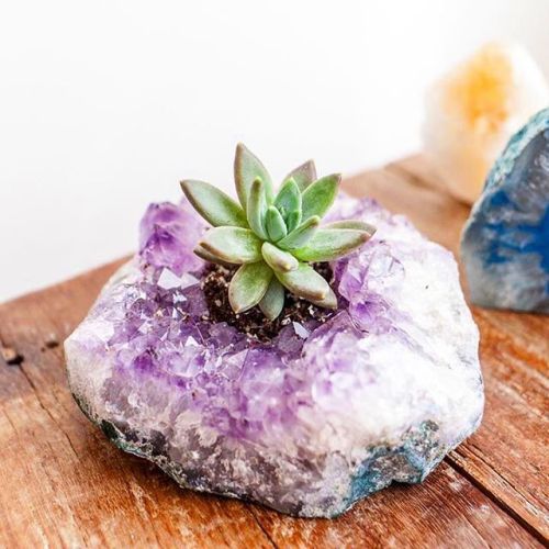 resonance-of-libra:emiunicornn:Shop our Amethyst Tea Light candle holder you can also use them as a