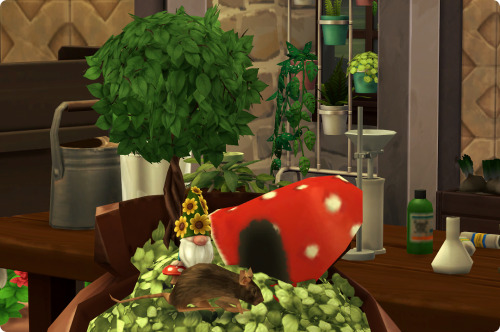 Before 'Growing Together' Was Released, I Saw The Plant Pot With The Mushroom In A Preview And I Wanted
