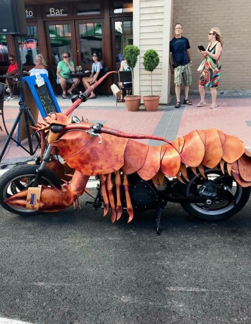 hella-free-space: celestial-cephalopod: All of fishblr needs one and we can start a gang safety firs