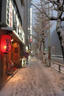 iesuuyr:  Snowy Shinjuku #3  by    	 	 	 	   taiyakitsune  