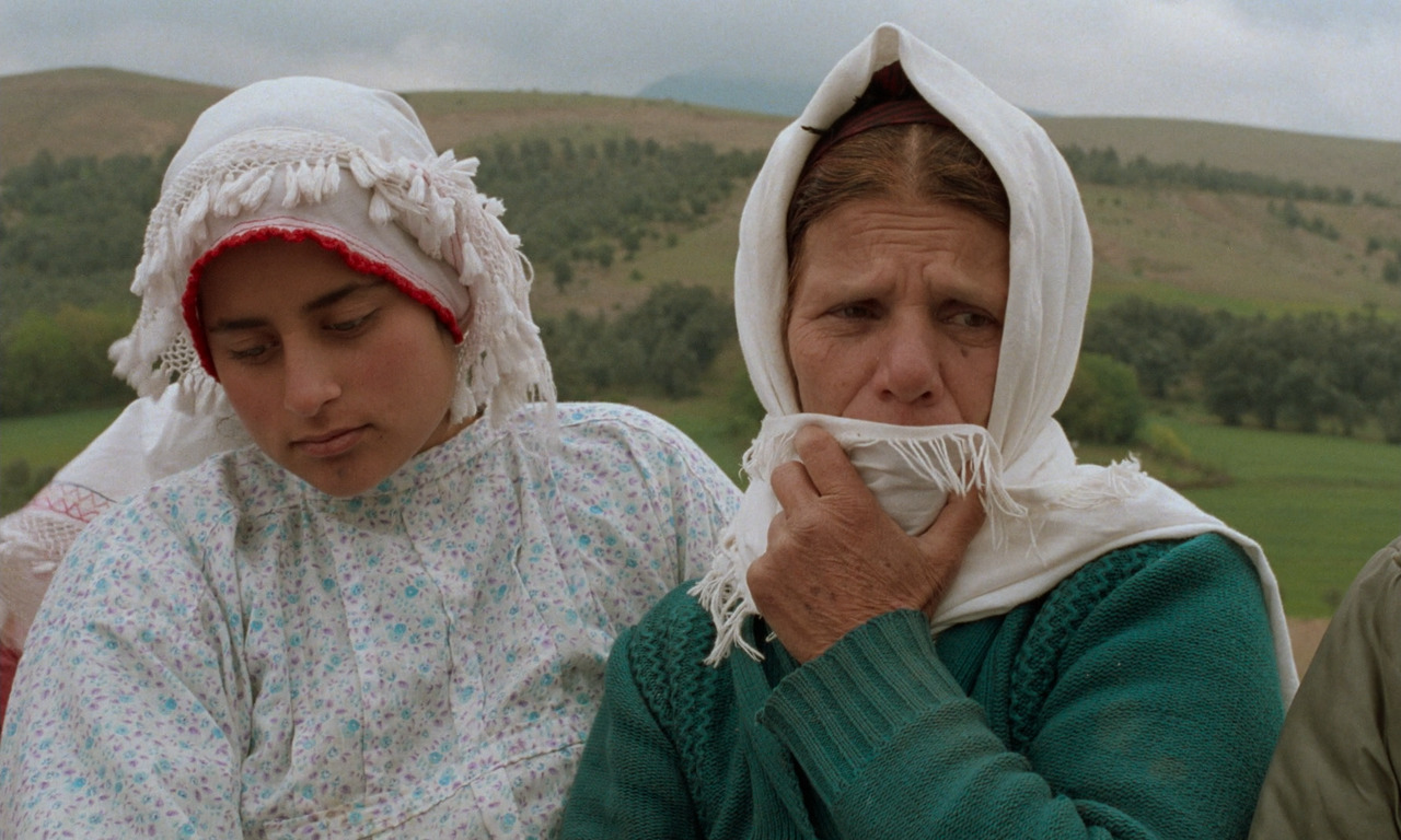 artfilmfan:  Through The Olive Trees (Abbas Kiarostami, 1994)