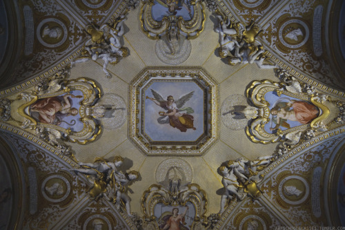 artschoolglasses:  Ceilings in the Pitti Palace.