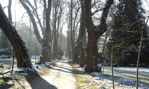 #Poland, #Krasiczyn #Castle, #Winter linden alley#Zamek Krasiczyn, zimowa aleja lipowa
