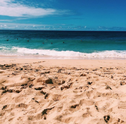 paradise-bali:  svnbabe:  letslivebythesea:  Ocean and Beach Posts  follow for more similar posts ;)  🔹paradise-bali🔹