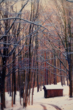 l-eth-e:  Cabin - Forest (by Rudolf Vlček)