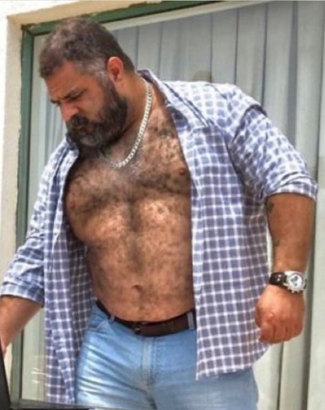 hairy-muc-bear:2021.01.28.Thursday&rsquo;s BILFS in Open Shirts Next Door Bulls