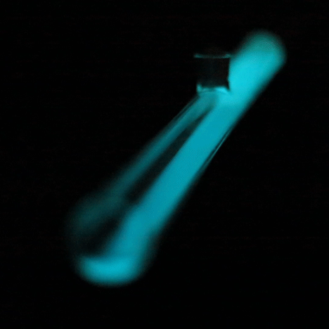 99percentinvisible:  Dutch designer ￼Teresa van Dongen has filled a glass tube with octopus bacteria to create a zero-electricity lamp that glows blue when disturbed