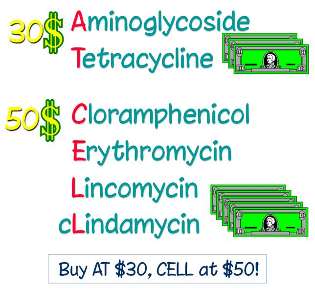 Mcat Memoranda I Like The Buy At 30 Ccel At 50 Mnemonic But I Mcat Memoranda I Like The Buy At 30 Ccel At 50 Mnemonic But I