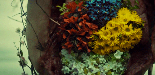 alienoutsider:Hannibal: AlphabetFlowers