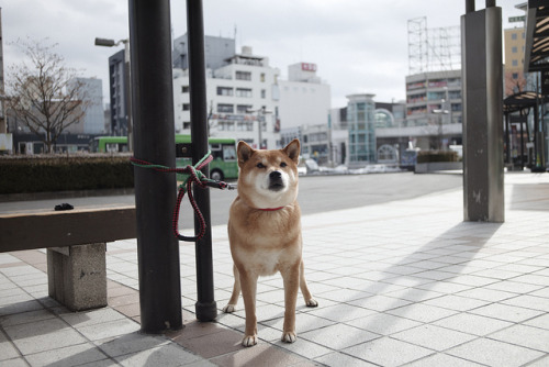 untitled by 何度目の青空か on Flickr.