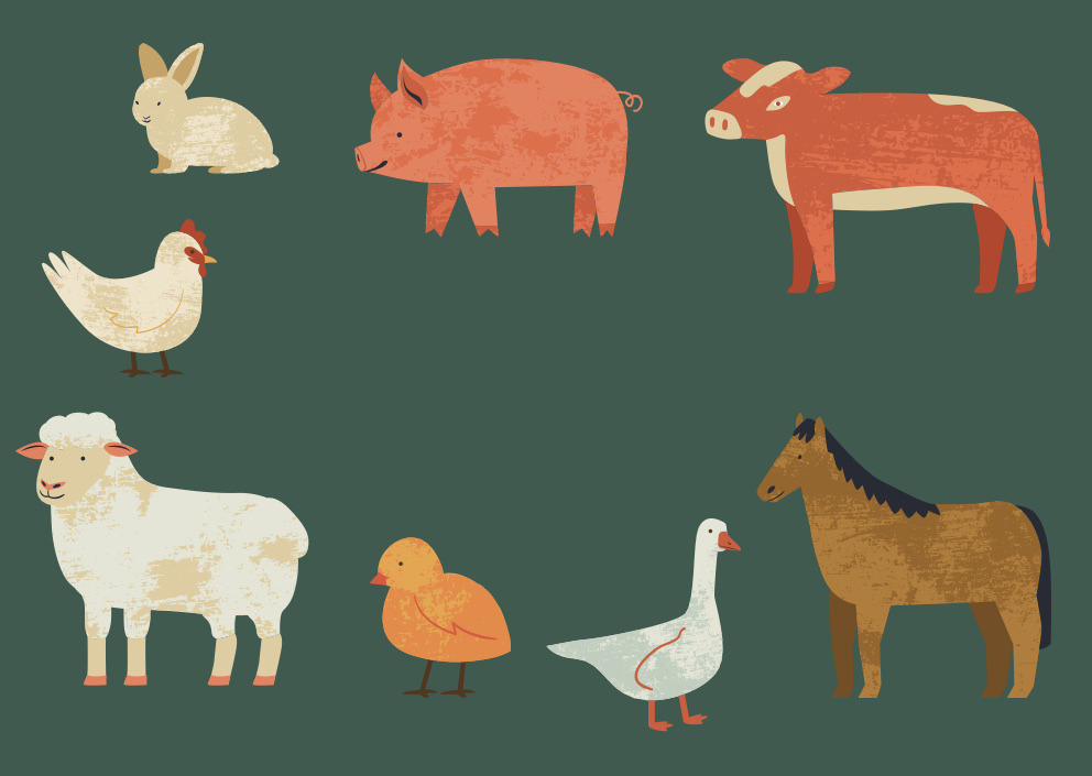 Animal Farm in Our Society on Tumblr