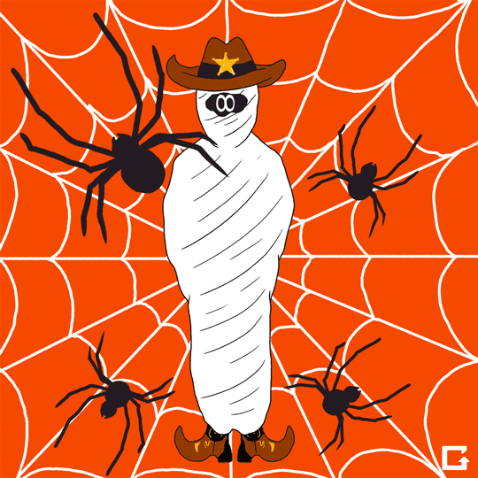 gifnews:  Massive Spider webs cover Dallas Suburbs 
