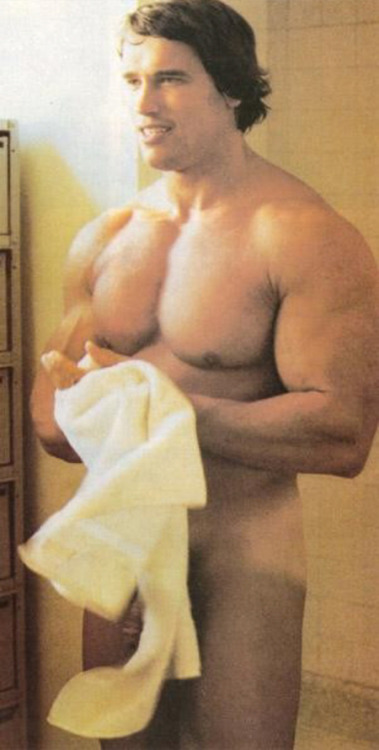 lostile:  arnold schwarzenegger 