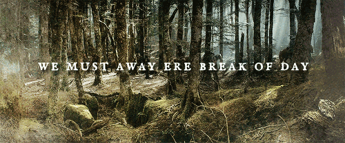 boromirs:  Song of the Lonely Mountain (Part 1) 