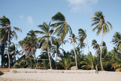 sandylamu: Manda Bay, Kenya, Photo Sandy B