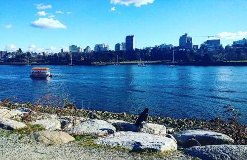 Just minutes away from home&hellip; Nothing beats sunny days&hellip; #downtown #yaletown #va