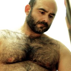 barebearx:  woofproject:  manly-brutes: 