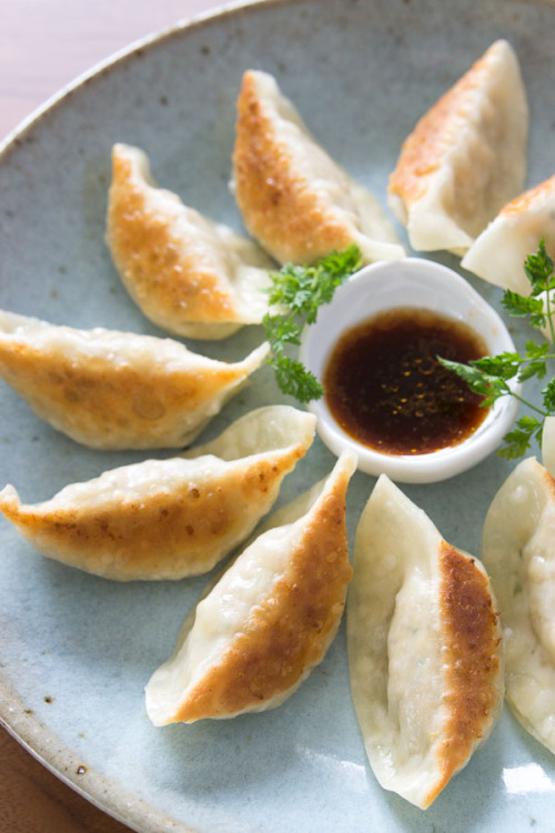 foodffs: Gyoza(餃子) Really nice recipes. Every hour.