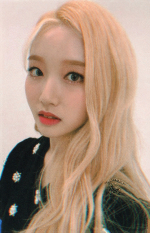 12loona:[SCANS] Meet&Up Photocard Sets - Go Won© loonascans | please do not crop or remove the l