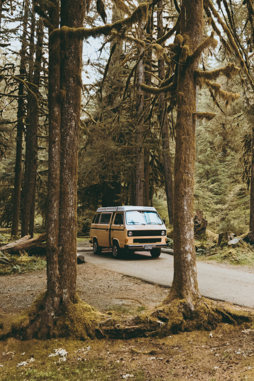 youseethenew:  Time well spent in Olympic NP, Washington  Instagram: BToneVibes     Damn , I’m so thankful to have ONP for a backyard , love it here