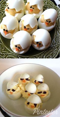 uploadfunny:  Chickadees | 17 Pint http://ift.tt/1GKDqRQ Upload and Share Funny Pics
