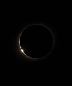 wonders-of-the-cosmos:  Solar Eclipse - Credit: