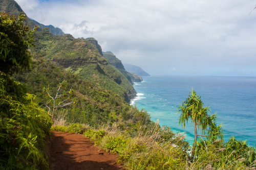 dylanchilds:  Kalalau Trail Dylan Childs | Napali Coast, Kauai, HI Flickr | Instagram | Tumblr | Web