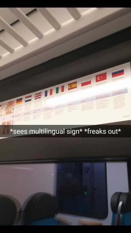 sprachtraeume:~#just langblr things~
