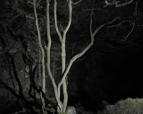 lazy-painting:  Nightscapes.  